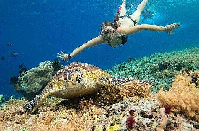 Gili Air: Snorkeling 3 Gili Islands with GoPro Camera - Underwater sculptures near Gili Meno: art with real reef benefits