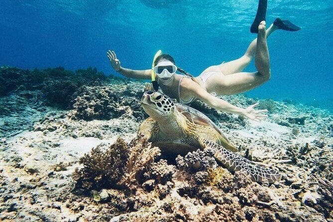 Gili Air: Snorkeling 3 Gili Islands with GoPro Camera - The boat ride: glass-bottom views help you spot coral early