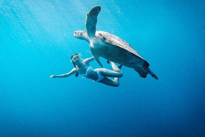 Gili Island Snorkeling Trip - Gili Trawangan, Gili Meno, & Gili Air, From Lombok - Key highlights worth planning around