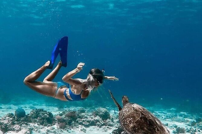 Gili Island Snorkeling Trip - Gili Trawangan, Gili Meno, & Gili Air, From Lombok - Your private guide: what you should actually listen for