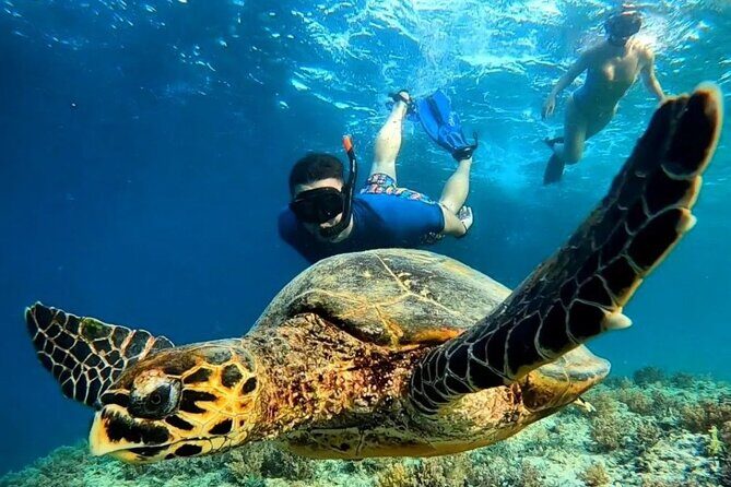 Gili Trawangan & Gili Air Snorkeling Tour Turtles & Statue - Key Highlights You’ll Actually Care About