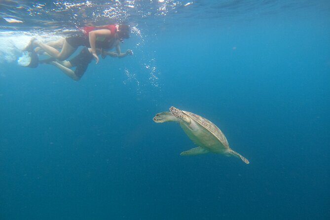 Gili Trawangan & Gili Air Snorkeling Tour Turtles & Statue - Stop 1 on Gili Trawangan: The Launch Point for the Day