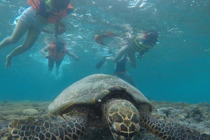 Gili Trawangan & Gili Air Snorkeling Tour Turtles & Statue - The Statue Stop at Gili Meno: Cool Visuals, Lots of People
