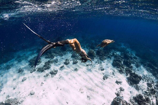 Gili Trawangan : Private Snorkeling with 3 spots or 4 spots - Fish Garden Finale: The Stop That Feels Like a Fish Party