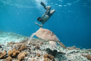 Group Snorkeling Tour Gili Islands Including GoPro Documentation - Stop One: underwater statues and the first look beneath the surface