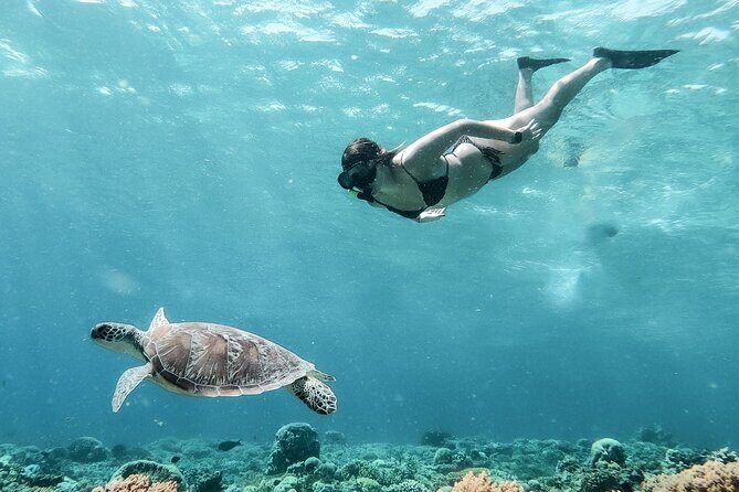 Group Snorkeling Tour Gili Islands Including GoPro Documentation - The shared GoPro documentation: what you should expect