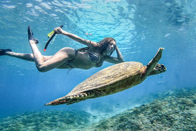 Group Snorkeling Tour Gili Islands Including GoPro Documentation - Boat comfort, crowding, and safety realities to weigh