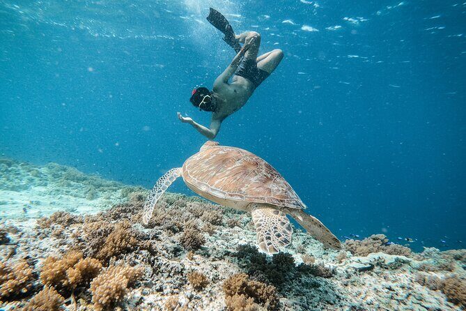 Group Snorkeling Tour Gili Islands Including GoPro Documentation - Stop One: underwater statues and the first look beneath the surface