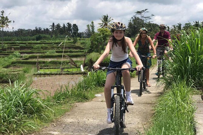 Half Day Cycling Tour ( Manual Bike ) - Key highlights worth waking up for