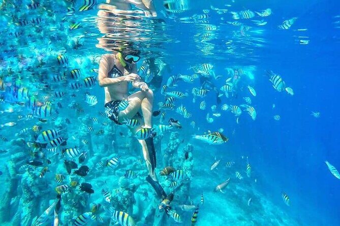Half-Day Private Guided Snorkeling Turtles Underwater Statues - Key Highlights You’ll Care About