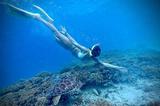 Half-Day Private Guided Snorkeling Turtles Underwater Statues - Lunch on Gili Meno: A Break That’s Not Just Waiting