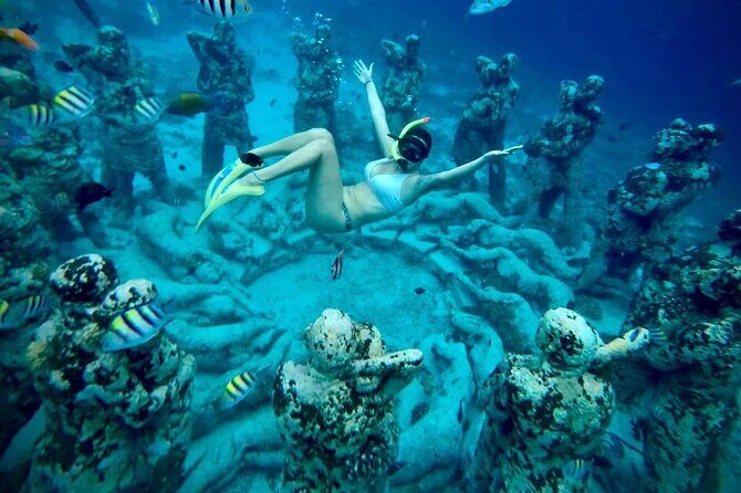Half-Day Private Guided Snorkeling Turtles Underwater Statues - The Real Value: What You Pay for (Private Group + Gear + Guide)