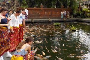Half-Day Ubud Electric Cycling Tour to Tirta Empul Water Temple - Getting there: pickup from your door and the Warung Lumbung Padi start
