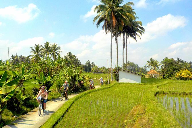 Half-Day Ubud Electric Cycling Tour to Tirta Empul Water Temple - Stop 1: Tirta Empul Water Temple and the purification springs