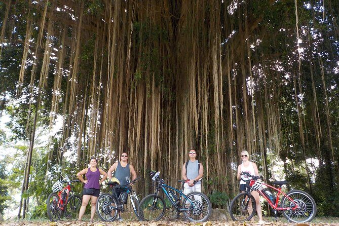 Half-Day Ubud Electric Cycling Tour to Tirta Empul Water Temple - Safety and comfort: helmets, guides, and what to wear