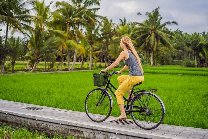 Half-Day Ubud Rice Field and Village Cycling Tour - Key highlights to pay attention to