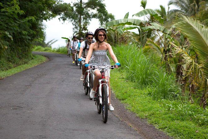 Half-Day Ubud Rice Field and Village Cycling Tour - Getting picked up in comfort before you start near Mount Batur