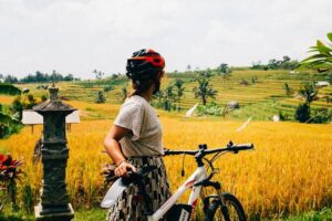 Half-Day Ubud Rice Field and Village Cycling Tour - The ride itself: jungle lanes, plantations, and rice terraces