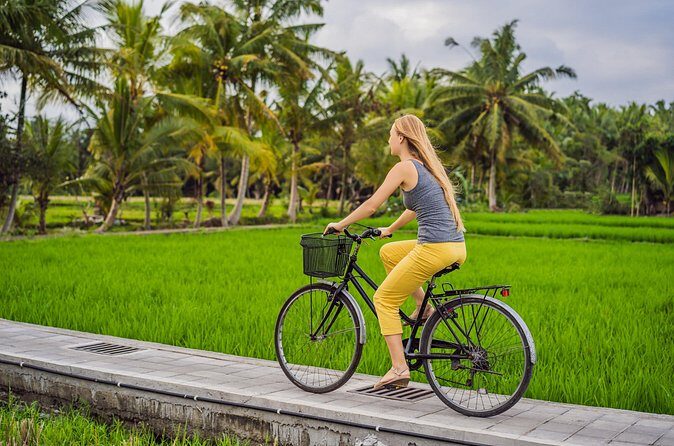 Half-Day Ubud Rice Field and Village Cycling Tour - The Balinese house-compound stop that turns scenery into real context