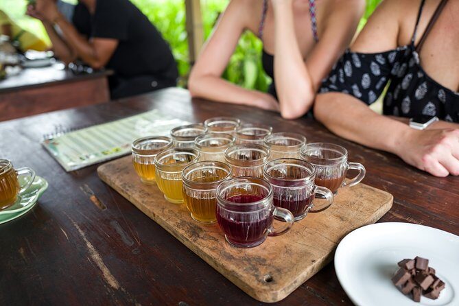 Half-Day Ubud Rice Field and Village Cycling Tour - Bikes, helmets, gloves, and how safety is handled