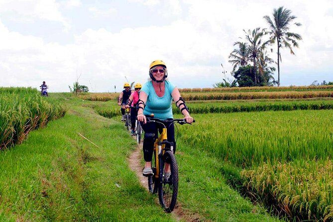 Half-Day Ubud Rice Field and Village Cycling Tour - Price and value: $41.03 for a half-day that actually adds up
