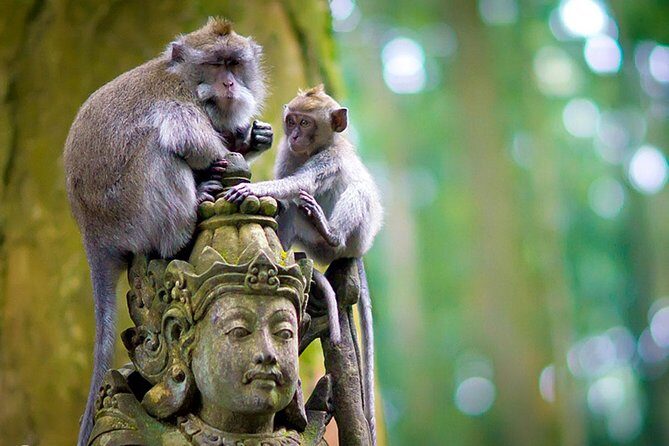 Half Day Ubud Tour: Ubud Unique Spots - The Real Value: What You Get for $38.98 (and What You Don’t)