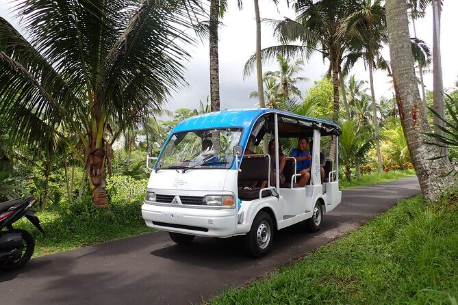 Half Day Ubud Waterfall Tour - Key things to know before you go