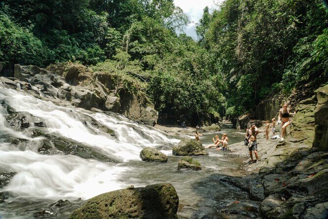 Half Day Ubud Waterfall Tour - Meeting in Ubud and the simple small-group flow