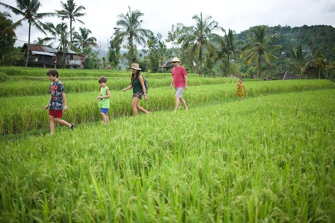 Haunted Valley Waterfall ATV and Bike Tour - Ubud’s ATV-and-bike combo: why this mix feels smarter