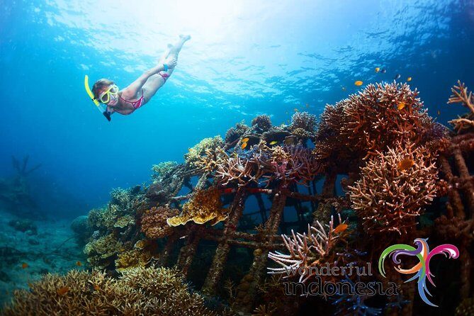 Have fun 1 day in Nusa Penida: snorkeling, kelingking & broken beach incl lunch - Key highlights worth a close look