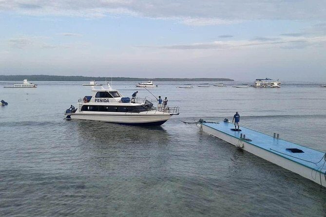 Have fun 1 day in Nusa Penida: snorkeling, kelingking & broken beach incl lunch - Getting to Nusa Penida: south Bali pickup and Mertasari Harbour timing