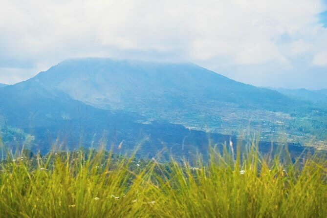 Highlight of Bali Tour - Penglipuran Village: Bamboo Paths and a Costume Moment You Might Enjoy