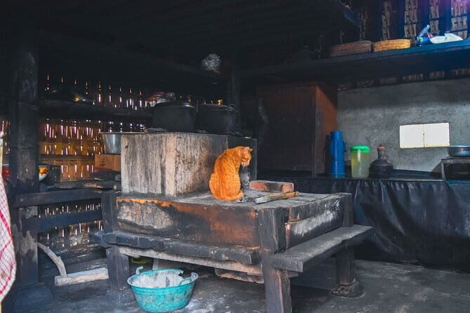 Highlight of Bali Tour - Gedung Arca Museum: Stone Relics, Royal Sarcophagi, and Timeline Feel