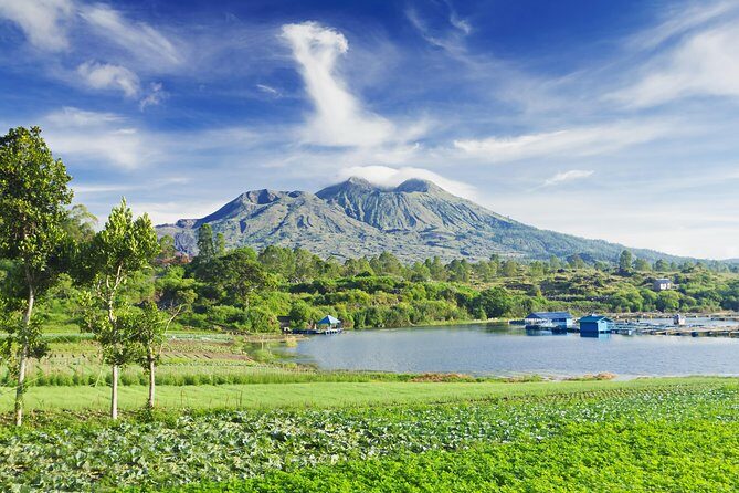 Highlights of Ubud & Mount Batur Volcano - Private Day Trip - A private Ubud-to-Batur day that actually feels paced