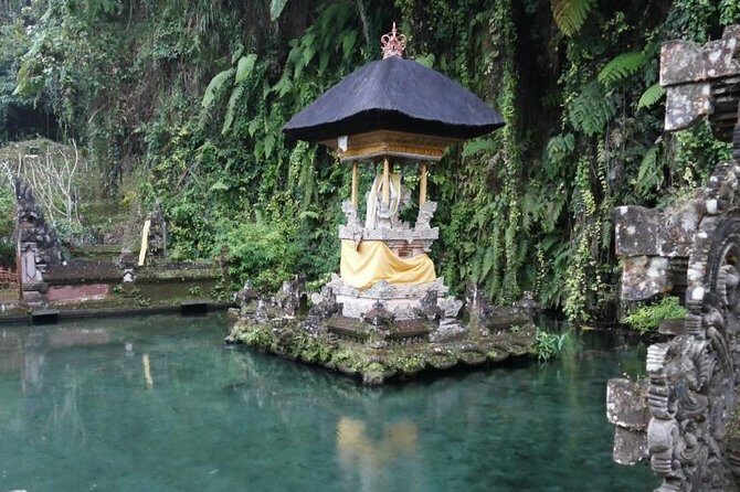 Hire Bali Driver for 10-hour (Bali as You Please) - Ubud and central picks: temples, monkeys, terraces, and water