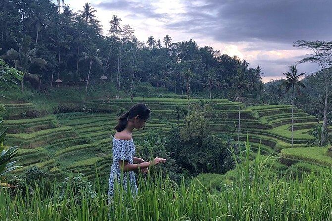 Hire Bali Driver for 10-hour (Bali as You Please) - South Bali highlights: Uluwatu temples, beaches, and the Kecak show