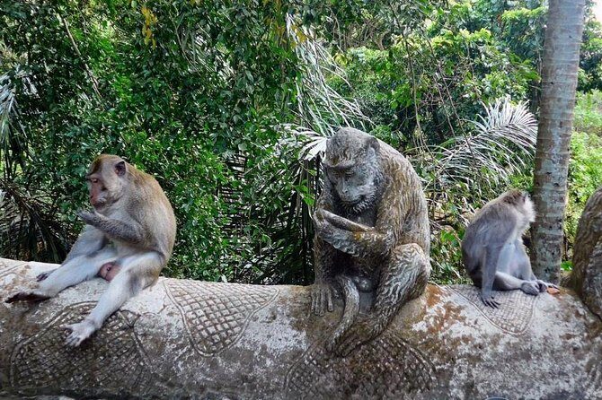 Hire Bali Driver for 10-hour (Bali as You Please) - East Bali day trips: Lempuyang, Tirta Gangga, and Tukad Cepung