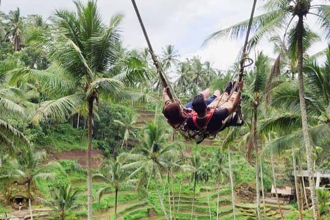Hire Private Bali Driver - South Bali option: Tanah Lot, Kuta, Seminyak, and Jimbaran