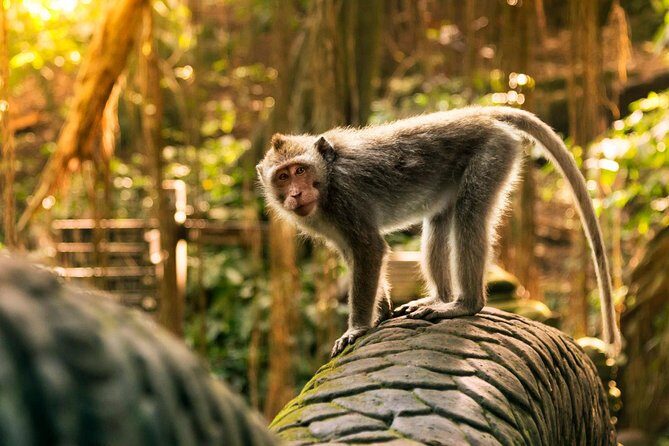 Hire Private Bali Driver - When this private driver is the best match