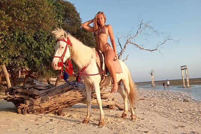 Horse Ride On The Beach Gili Islands - Key highlights you’ll actually feel