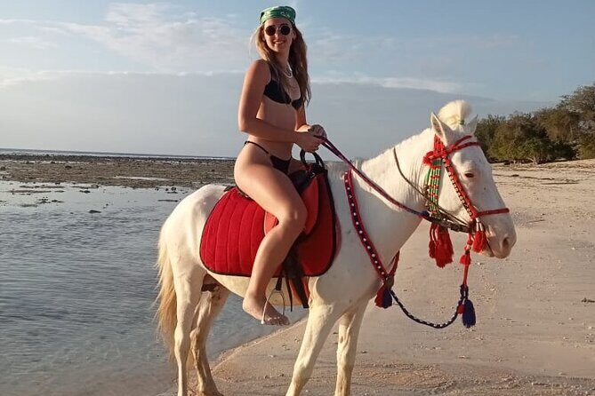 Horse Ride On The Beach Gili Islands - Price and logistics: what your $50 really covers