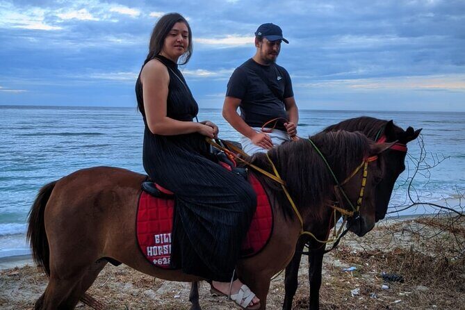 Horse Ride On The Beach Gili Islands - Kuda (the horse) and what’s included vs not