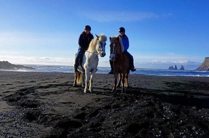 Horse Riding on the Black Sand Beach and Free Hotel Transfers - Price and value: what $74 buys you (and why it can be a good deal)