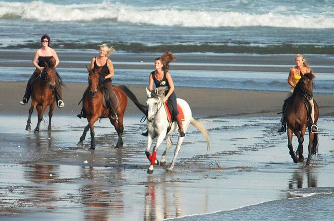Horse Riding on the Black Sand Beach and Free Hotel Transfers - Who this black sand horse ride fits best