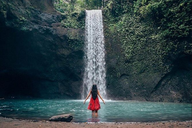 Individual Private Car Hire with English Speaking Chauffeur - Rice terraces, art, and the photo-stop Bali crowd will love