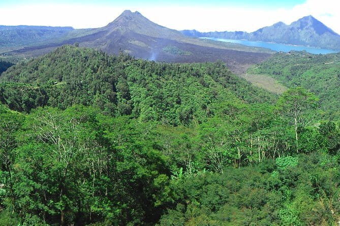 Jungle Trekking at Mt. Batukaru, scenic Waterfall & village life - Warung Balikaru lunch plus a short massage: the recovery you’ll appreciate