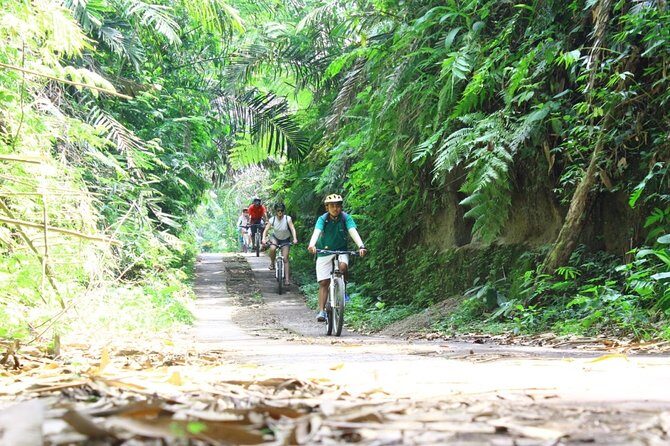 Kintamani Cultural and Nature Cycling Tour ( Manual Bike ) - Payangan Finish at Hyang Api Temple, Then Lunch at Greenkubu Café and Swing