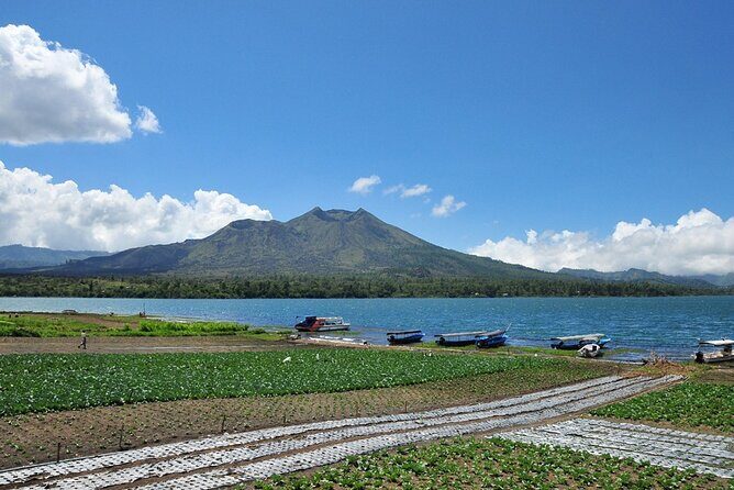 Kintamani Lake & Volcano Tour - Holy Springs on the return: what to expect from the healing-water stop