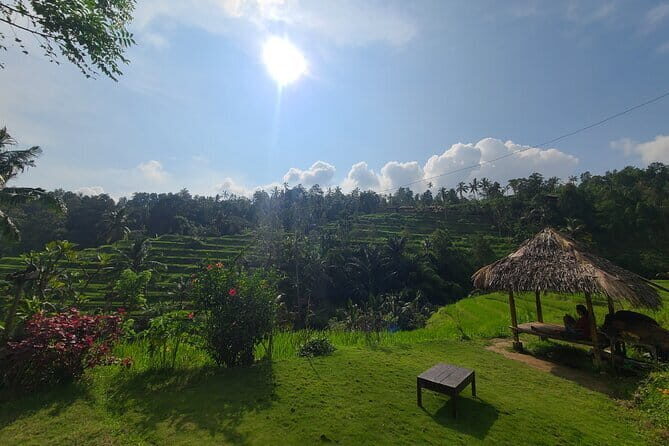 Lemukih Hidden Trekking Waterslide Sekumpul and Fiji Waterfall - Why Lemukih feels like rural Bali, not a checklist