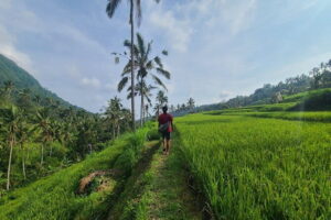 Lemukih Hidden Trekking Waterslide Sekumpul and Fiji Waterfall - The waterslide part: fun, but it’s handled the right way